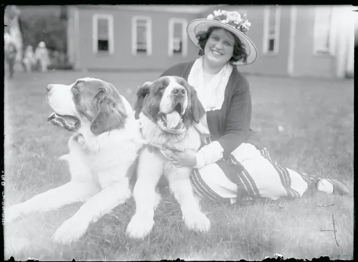 Framed Print : Society Woman with Prize Winning Saint Bernards
