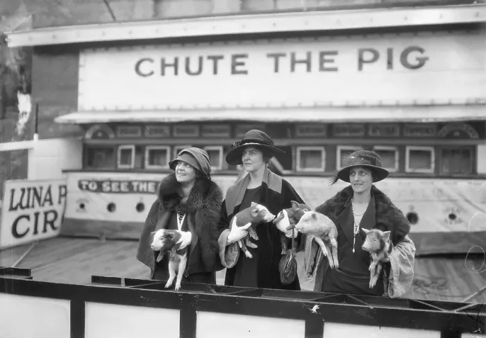 Framed Print : Society Women Holding Pigs at Amusement Park Framed Print : Society Women Holding Pigs at Amusement Park
