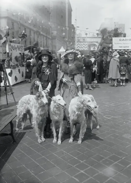Framed Print : Society Women Walking Dogs
