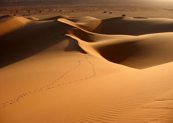 Soft evening light on Sahara sand dunes