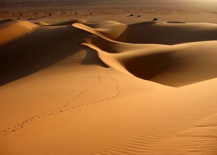 Framed Print : Soft evening light on Sahara sand dunes