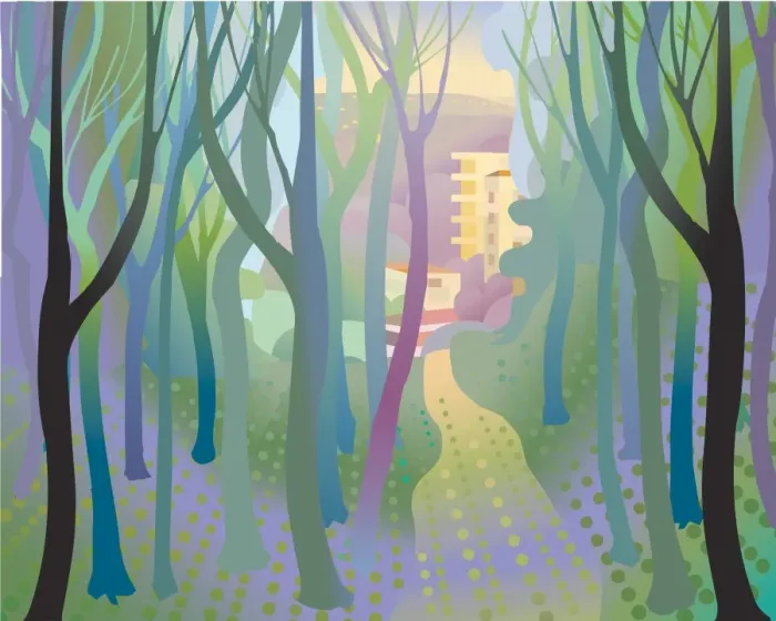 Framed Print : Soft undulating forest with path