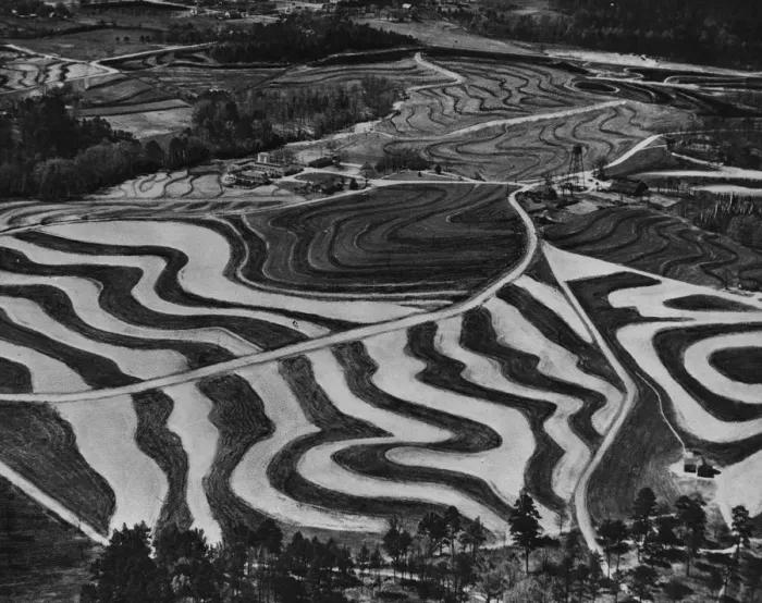 Framed Print : Soil Patterns Framed Print : Soil Patterns