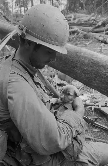 Framed Print : Soldier Cuddling a Puppy
