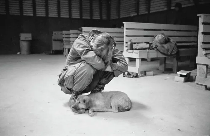 Framed Print : Soldier Leaning Over Puppy Framed Print : Soldier Leaning Over Puppy