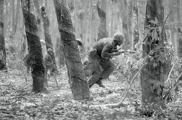 Framed Print : Soldier Moving Among Rubber Tress Framed Print : Soldier Moving Among Rubber Tress