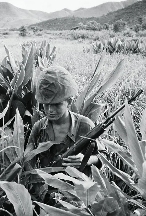 Framed Print : Soldier in Tall Grass Framed Print : Soldier in Tall Grass