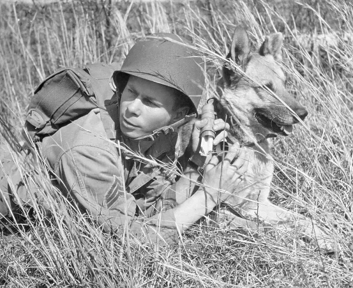 Framed Print : Soldier and Trained Dog Lying in Grass Framed Print : Soldier and Trained Dog Lying in Grass