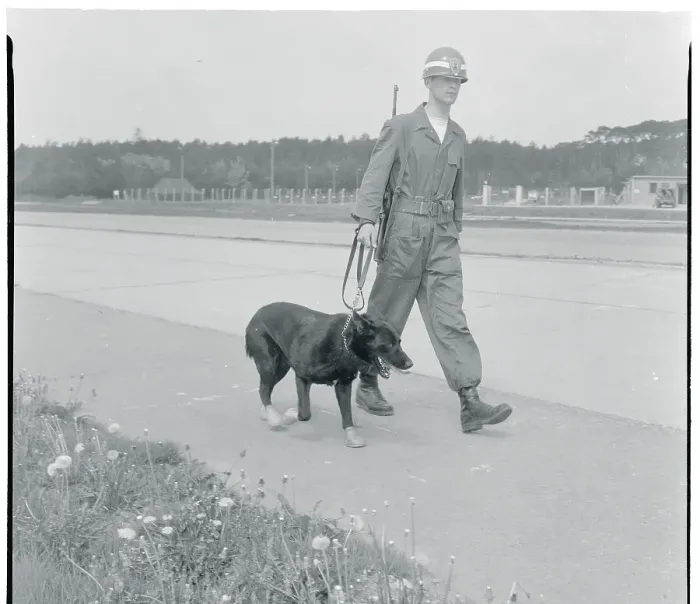 Framed Print : Soldier Walking with a German Shepherd Dog Framed Print : Soldier Walking with a German Shepherd Dog