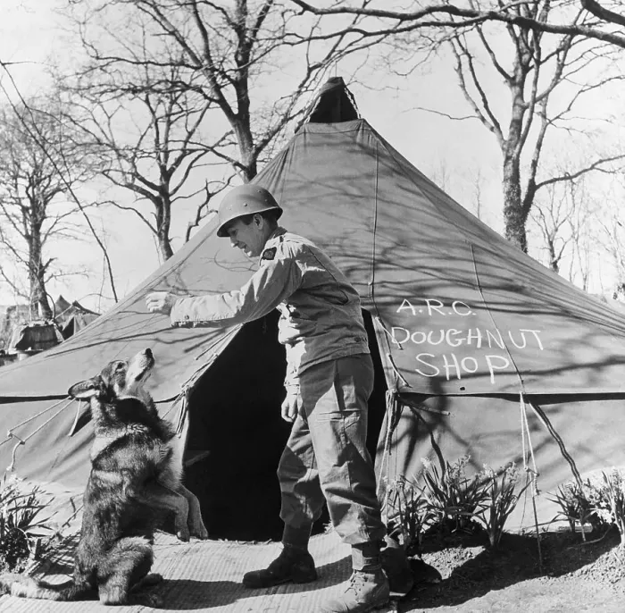 Framed Print : Soldier with War Dog Outside Tent Framed Print : Soldier with War Dog Outside Tent