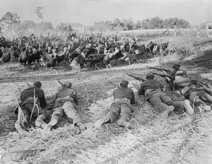 Framed Print : Soldiers Hunting Turkeys Framed Print : Soldiers Hunting Turkeys