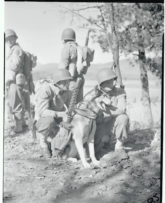 Framed Print : Soldiers Pausing on a Mission Framed Print : Soldiers Pausing on a Mission