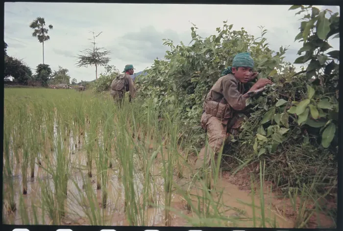 Framed Print : Soldiers in Rice Paddy Framed Print : Soldiers in Rice Paddy