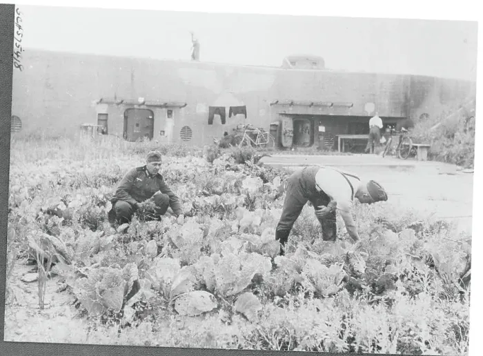 Framed Print : Soldiers Working in Garden