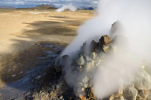 Solfataras, fumaroles, sulfur and other minerals, steam, Hveraroend geothermal area, Namafjall mountains, Myvatn area, Norourland eystra, the north-east region, Iceland, Europe