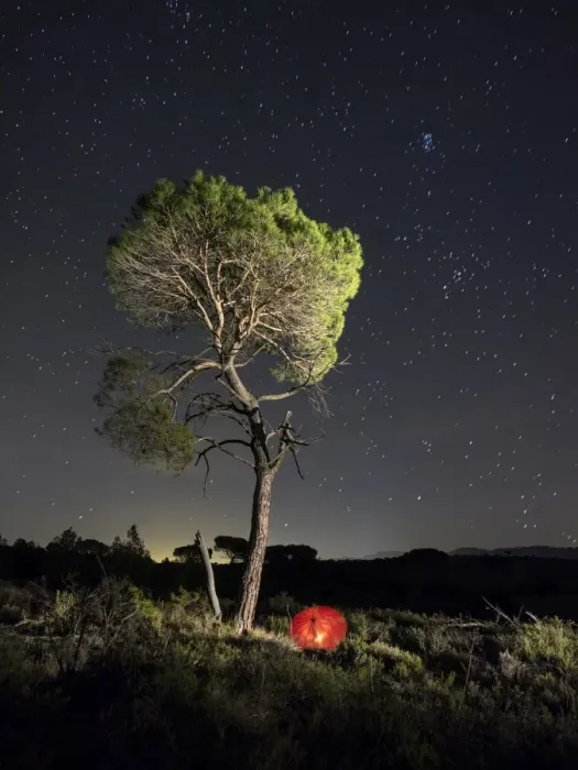 Framed Print : Solitary pine in the mount a night of stars with a red umbrella