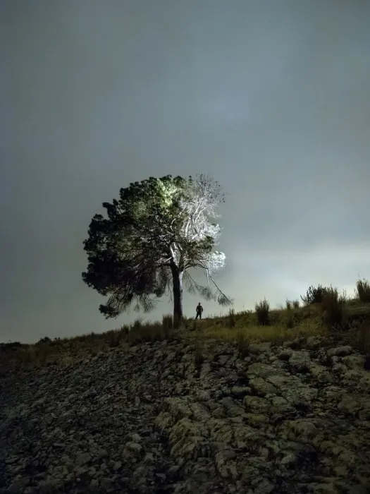 Framed Print : Solitary tree in the mountain in the night, illuminated by the full moon Framed Print : Solitary tree in the mountain in the night, illuminated by the full moon
