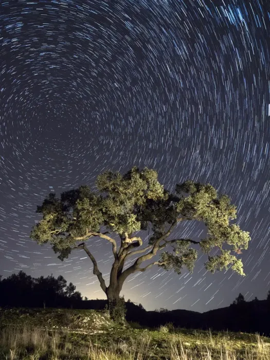Framed Print : Solitary tree in the mountain under the stars Framed Print : Solitary tree in the mountain under the stars