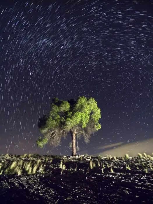 Framed Print : Solitary tree in the mountain under the stars Framed Print : Solitary tree in the mountain under the stars