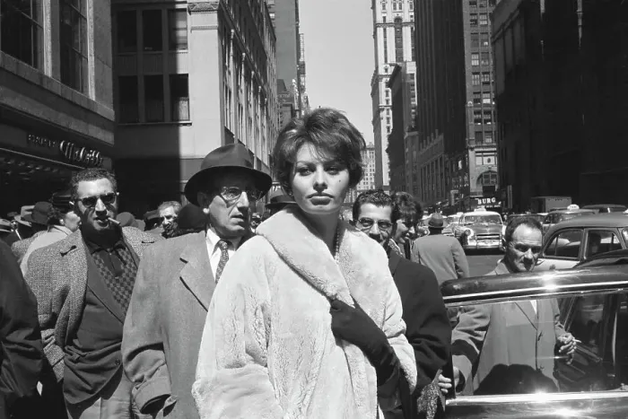 Framed Print : Sophia Loren Walking New York Streets Framed Print : Sophia Loren Walking New York Streets