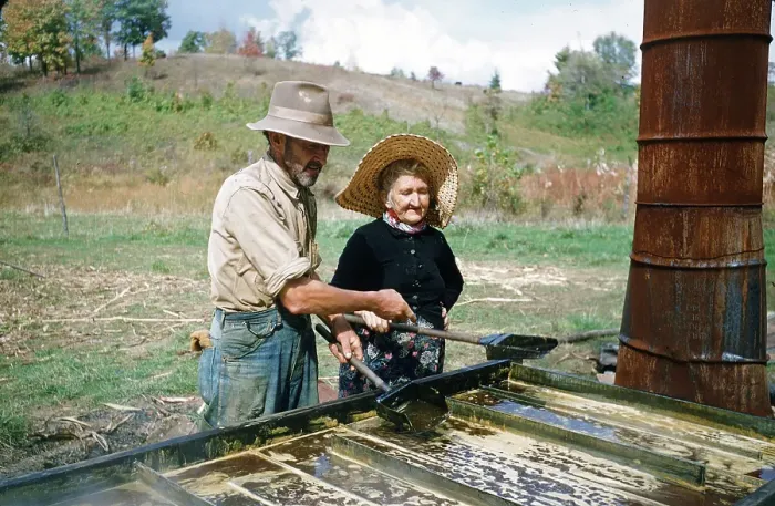 Framed Print : Sorghum Harvest Framed Print : Sorghum Harvest
