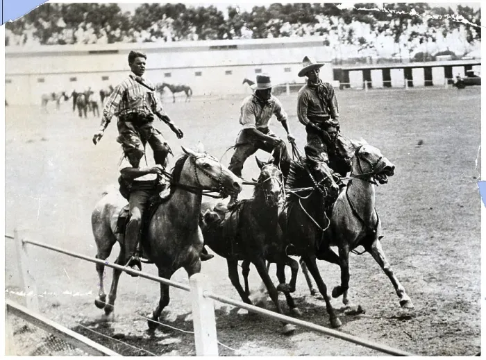 Framed Print : South African Cowboys Practice For Rodeo Framed Print : South African Cowboys Practice For Rodeo