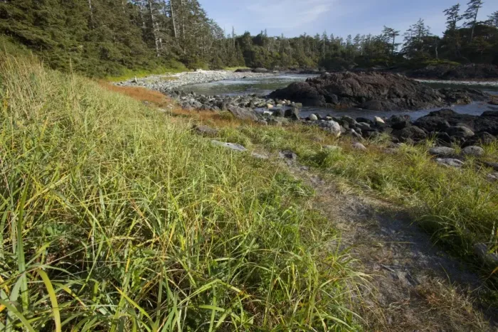 Framed Print : South Beach In Pacific Rim National Park Near Tofino
