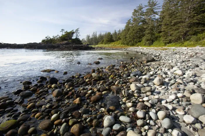 Framed Print : South Beach In Pacific Rim National Park Near Tofino; British Columbia Canada Framed Print : South Beach In Pacific Rim National Park Near Tofino; British Columbia Canada