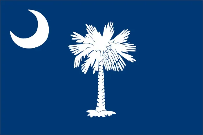 Framed Print : South Carolina flag Framed Print : South Carolina flag