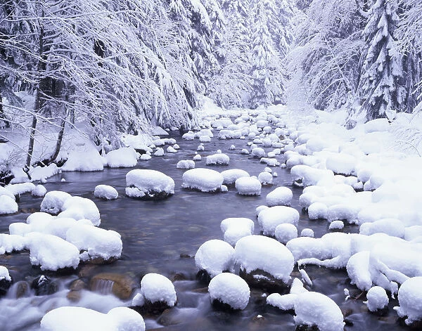 South Fork Snoqualmie River in winter, Mount Baker Snoqualmie National Forest, Washington State, USA