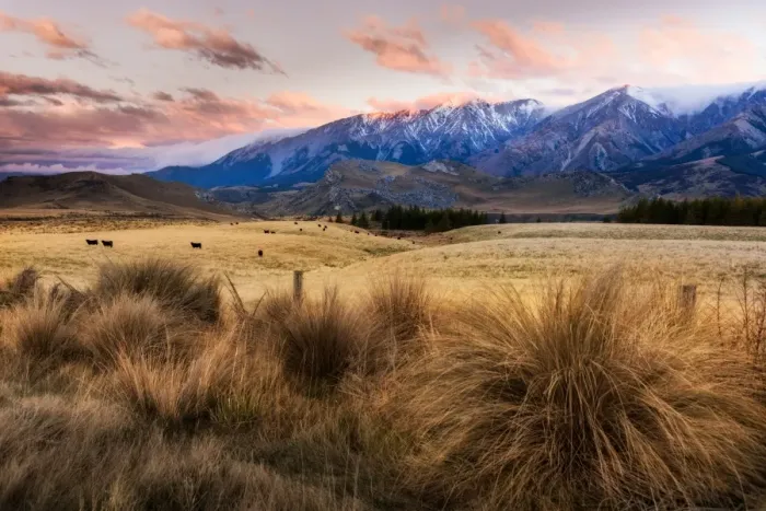 Framed Print : South, New Zealand in Autumn Season Framed Print : South, New Zealand in Autumn Season