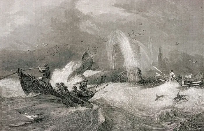 Framed Print : South Sea Whaling -- Engraving