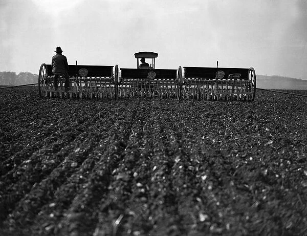 Sowing Corn