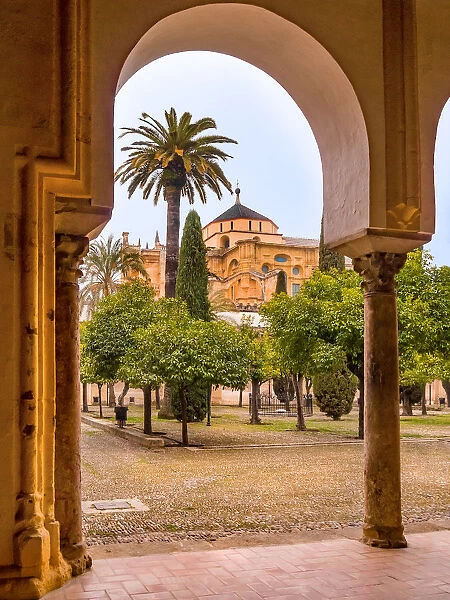 Spain, Cordoba, Mosque-Cathedral of Cordoba, Patio