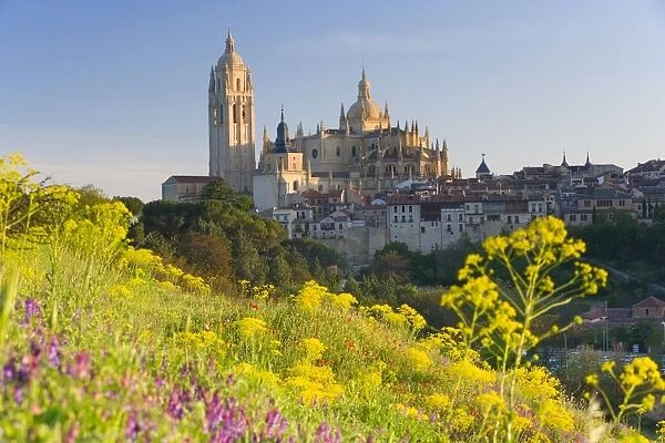 Spain, Segovia, Segovia Cathedral, field in foreground