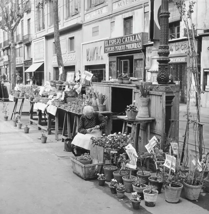 Framed Print : Spanish Plant Seller Framed Print : Spanish Plant Seller