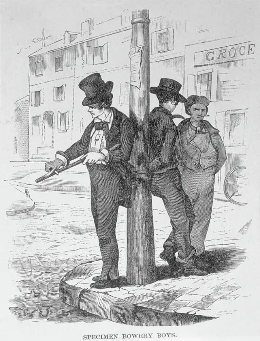 Framed Print : Specimen Bowery Boys Engraving Framed Print : Specimen Bowery Boys Engraving