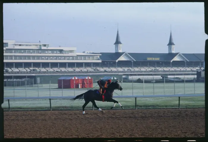 Framed Print : Spectacular Bid Being Ridden on Race Track Framed Print : Spectacular Bid Being Ridden on Race Track