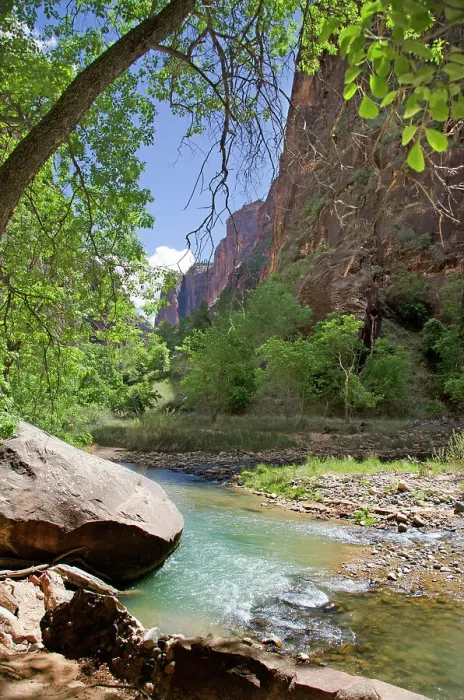 Framed Print : The Spectacular Landscape of the Narrows in Zion National Park Framed Print : The Spectacular Landscape of the Narrows in Zion National Park