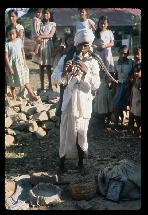Framed Print : Spectators at Snake Charming Event Framed Print : Spectators at Snake Charming Event