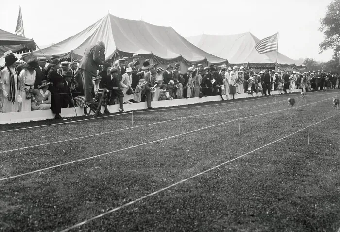 Framed Print : Spectators Watching Dog Race Framed Print : Spectators Watching Dog Race