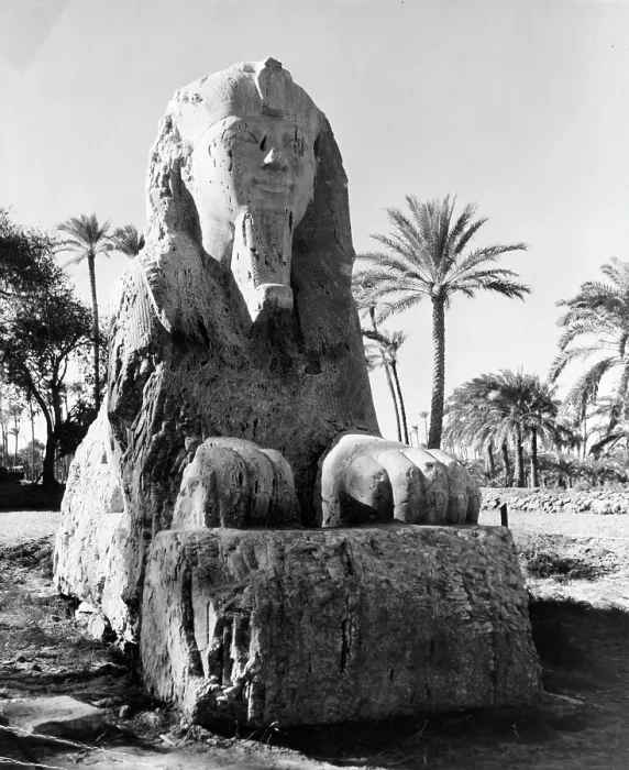 Framed Print : SPHINX IN SAKARA EGYPY Framed Print : SPHINX IN SAKARA EGYPY