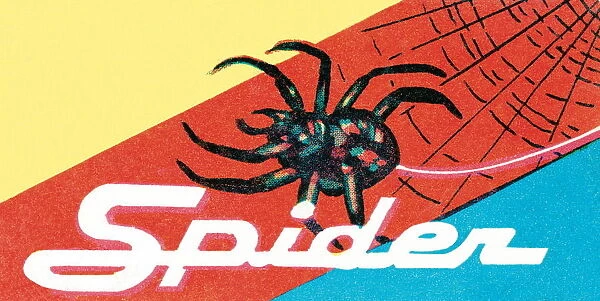 Spider. http: /  / csaimages.com / images / istockprofile / csa_vector_dsp.jpg