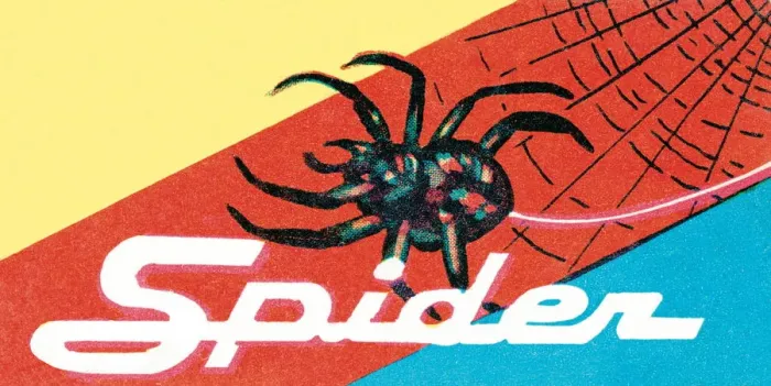 Framed Print : Spider. http: / / csaimages.com / images / istockprofile / csa_vector_dsp.jpg Framed Print : Spider. http: / / csaimages.com / images / istockprofile / csa_vector_dsp.jpg