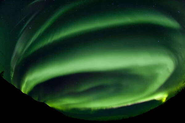 Spiral, swirling green northern polar lights, Aurora borealis, near Whitehorse, Yukon Territory, Canada