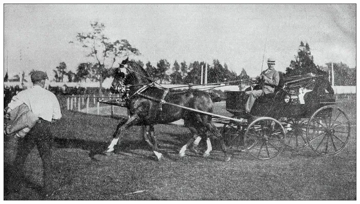 Framed Print : Sport and pastimes in 1897: Horse event Framed Print : Sport and pastimes in 1897: Horse event