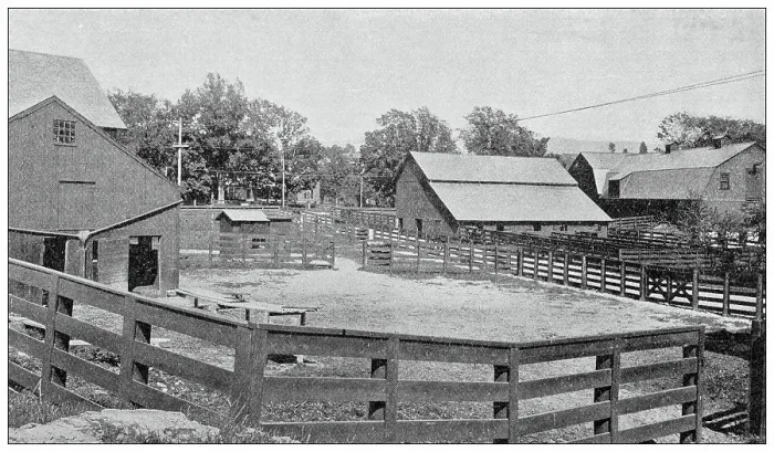 Framed Print : Sport and pastimes in 1897: Racing horses training farm, Vermont Framed Print : Sport and pastimes in 1897: Racing horses training farm, Vermont