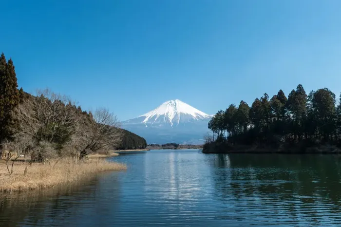 Framed Print : Spring Fuji