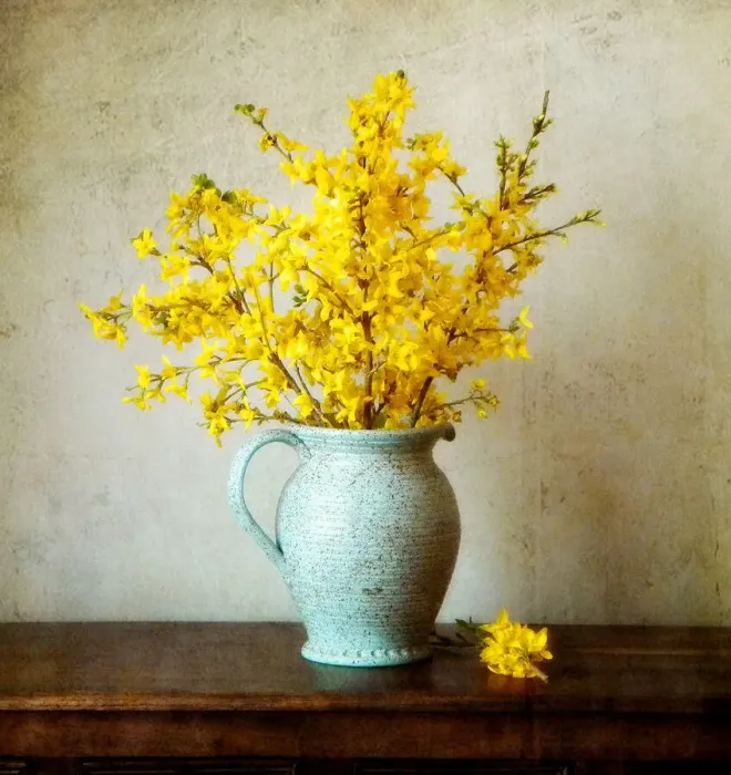 Framed Print : Spring in Jug Framed Print : Spring in Jug
