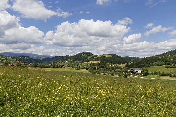 Spring meadow, Granitztal valley, near St. Paul im Lavanttal, Carinthia, Austria